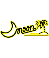 moon guitars